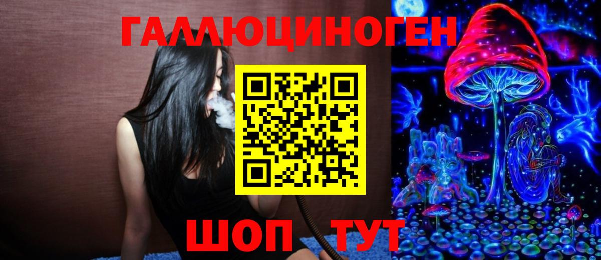 Псилоцибиновые грибы Cubensis Казань