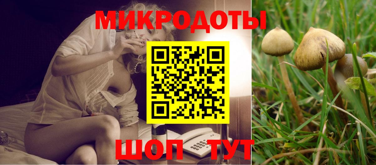 Галлюциногенные грибы Psilocybe  Псилоцибиновые грибы Magic Shrooms  Вход с VPN  Казань 